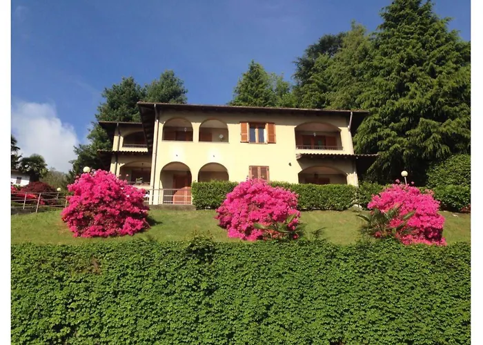 Pandora View - Happy * Стреза